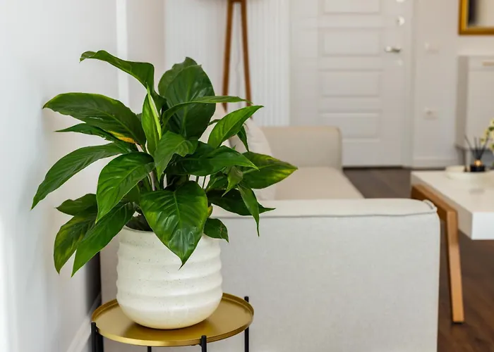 Luxury Rooftop In Astir Appartamento *