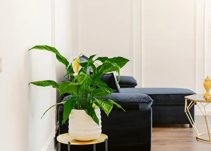 Luxury Rooftop In Astir Appartamento *