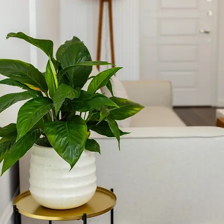 Luxury Rooftop In Astir Apartamento *