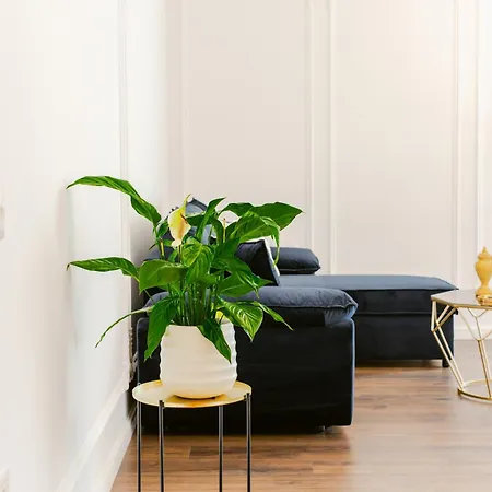 Luxury Rooftop In Astir Apartment *